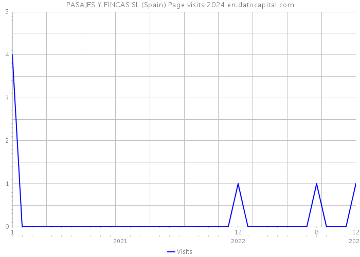PASAJES Y FINCAS SL (Spain) Page visits 2024 