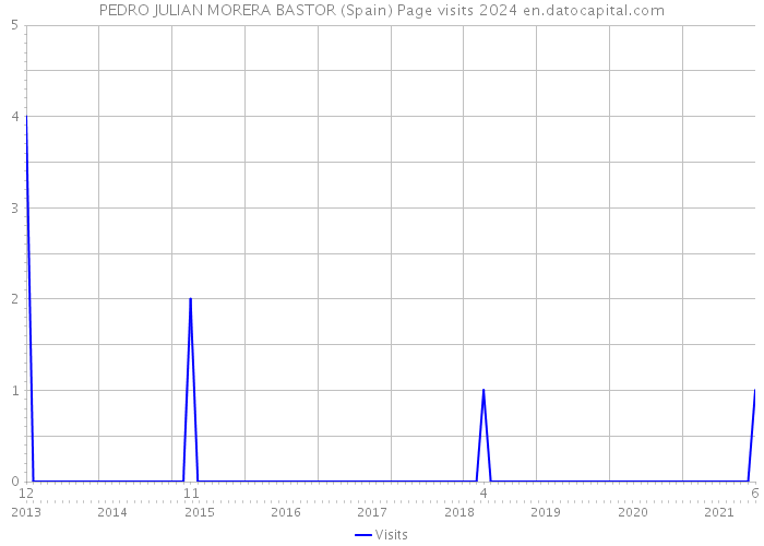 PEDRO JULIAN MORERA BASTOR (Spain) Page visits 2024 