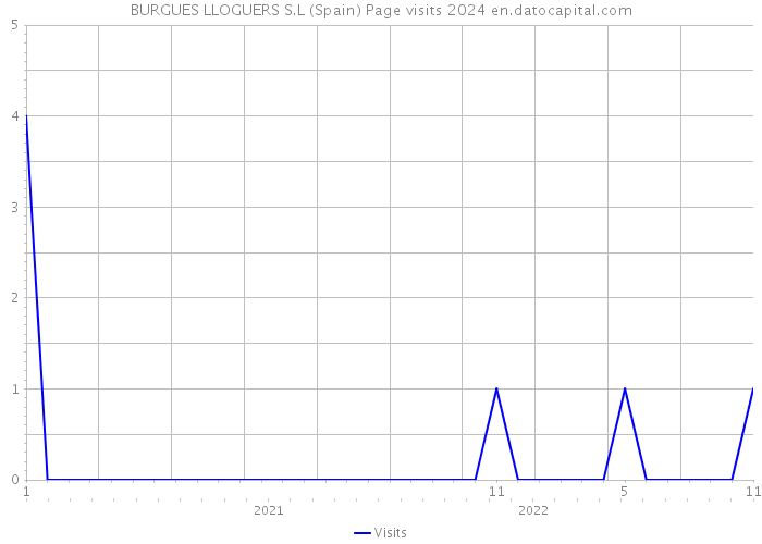 BURGUES LLOGUERS S.L (Spain) Page visits 2024 