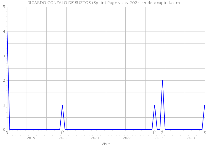 RICARDO GONZALO DE BUSTOS (Spain) Page visits 2024 
