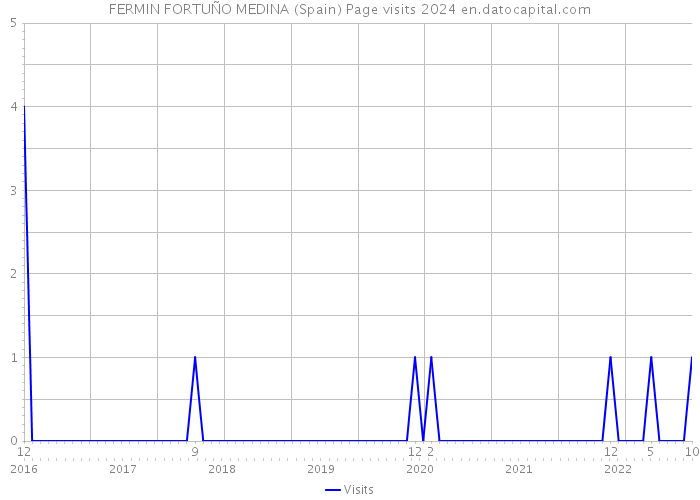 FERMIN FORTUÑO MEDINA (Spain) Page visits 2024 