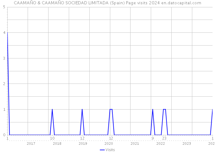 CAAMAÑO & CAAMAÑO SOCIEDAD LIMITADA (Spain) Page visits 2024 