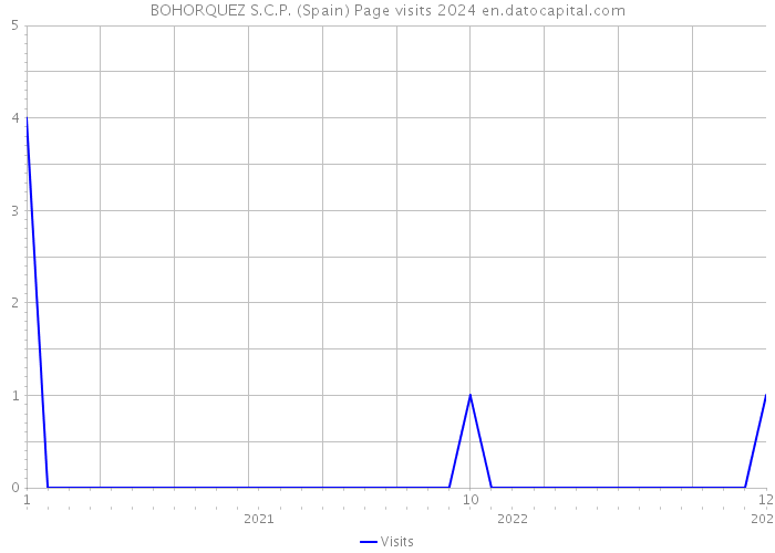 BOHORQUEZ S.C.P. (Spain) Page visits 2024 