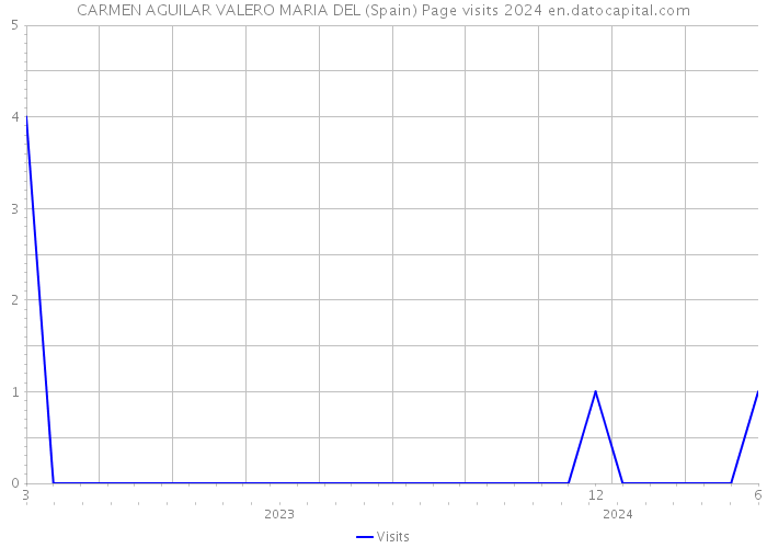 CARMEN AGUILAR VALERO MARIA DEL (Spain) Page visits 2024 