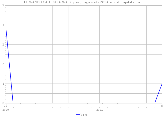 FERNANDO GALLEGO ARNAL (Spain) Page visits 2024 