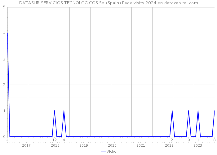 DATASUR SERVICIOS TECNOLOGICOS SA (Spain) Page visits 2024 