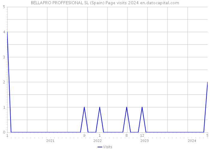 BELLAPRO PROFFESIONAL SL (Spain) Page visits 2024 