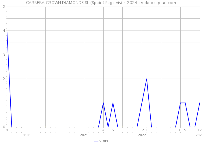 CARRERA GROWN DIAMONDS SL (Spain) Page visits 2024 
