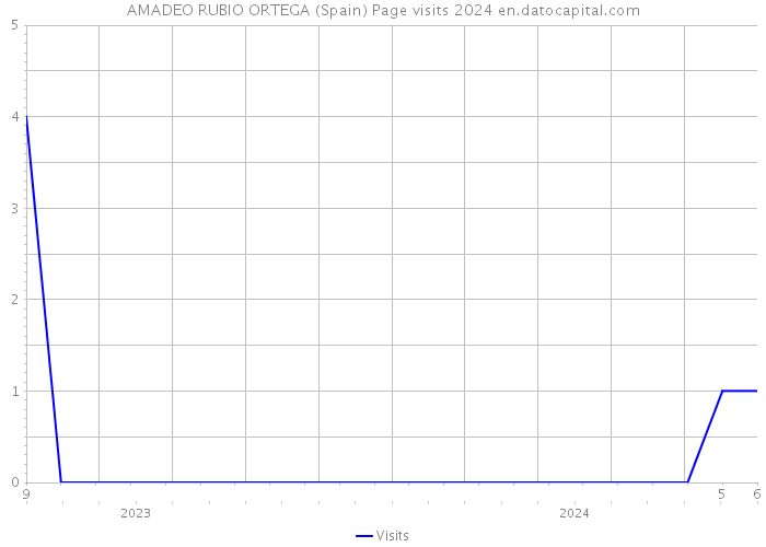 AMADEO RUBIO ORTEGA (Spain) Page visits 2024 