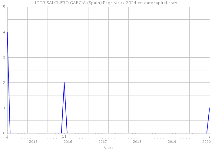IGOR SALGUERO GARCIA (Spain) Page visits 2024 