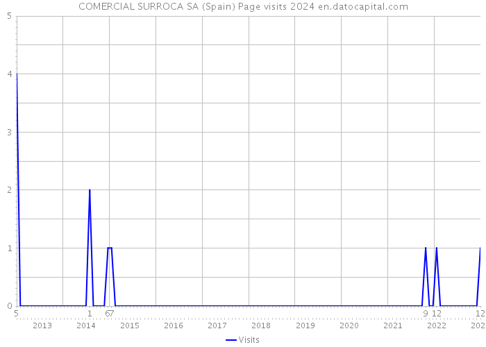 COMERCIAL SURROCA SA (Spain) Page visits 2024 