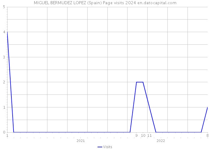 MIGUEL BERMUDEZ LOPEZ (Spain) Page visits 2024 