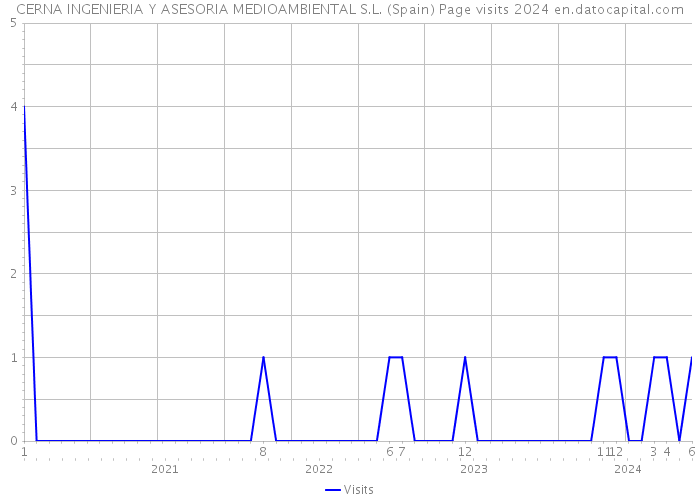CERNA INGENIERIA Y ASESORIA MEDIOAMBIENTAL S.L. (Spain) Page visits 2024 