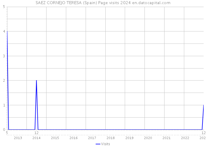 SAEZ CORNEJO TERESA (Spain) Page visits 2024 