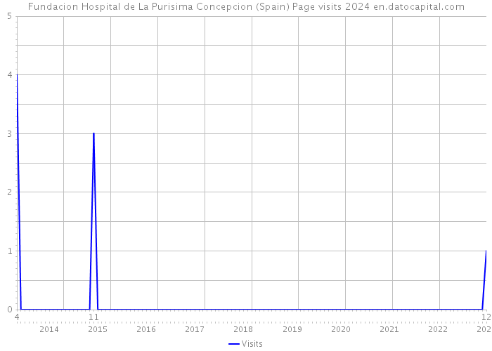 Fundacion Hospital de La Purisima Concepcion (Spain) Page visits 2024 