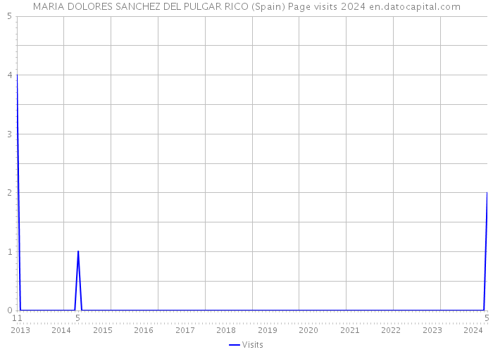 MARIA DOLORES SANCHEZ DEL PULGAR RICO (Spain) Page visits 2024 