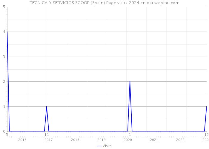 TECNICA Y SERVICIOS SCOOP (Spain) Page visits 2024 