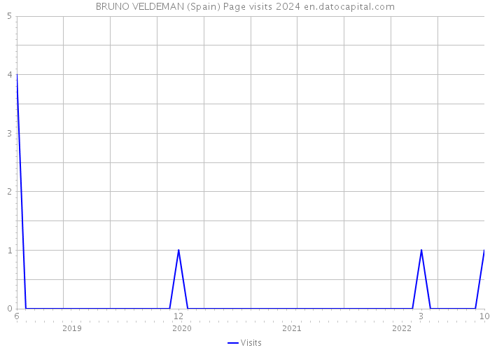 BRUNO VELDEMAN (Spain) Page visits 2024 