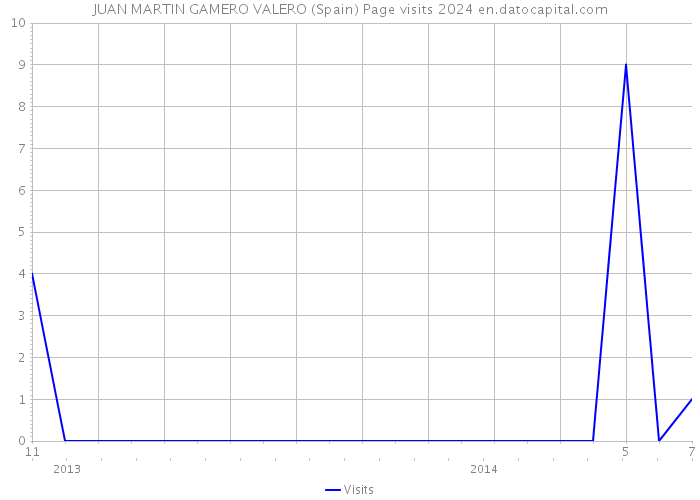 JUAN MARTIN GAMERO VALERO (Spain) Page visits 2024 