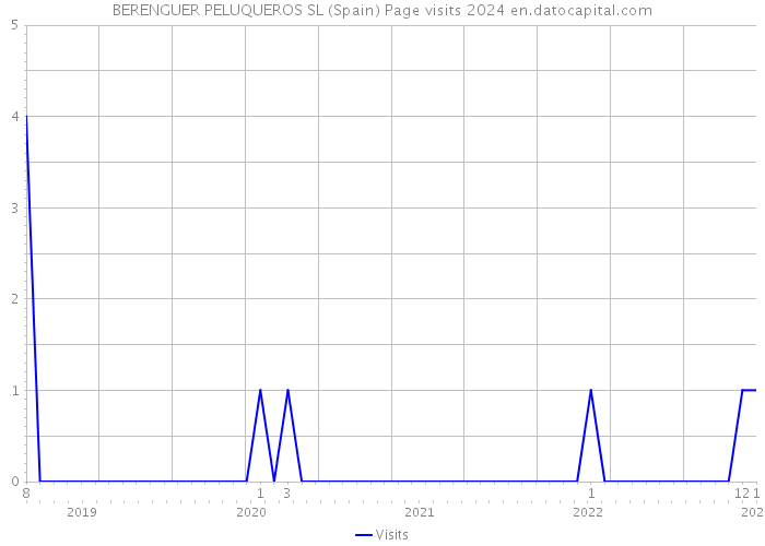 BERENGUER PELUQUEROS SL (Spain) Page visits 2024 