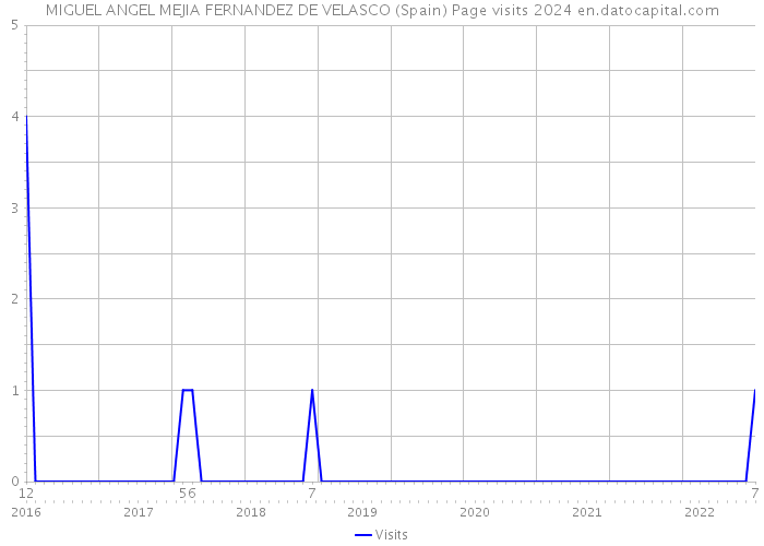 MIGUEL ANGEL MEJIA FERNANDEZ DE VELASCO (Spain) Page visits 2024 
