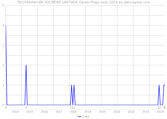 TECH MANAGER SOCIEDAD LIMITADA (Spain) Page visits 2024 