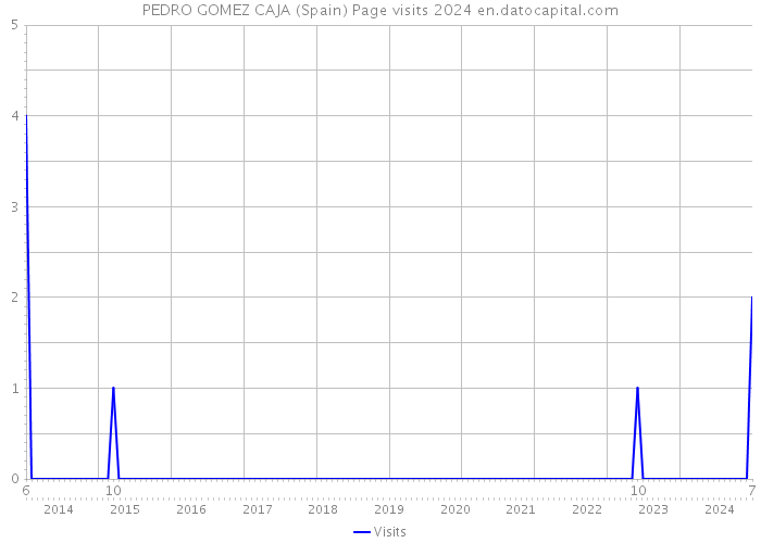 PEDRO GOMEZ CAJA (Spain) Page visits 2024 