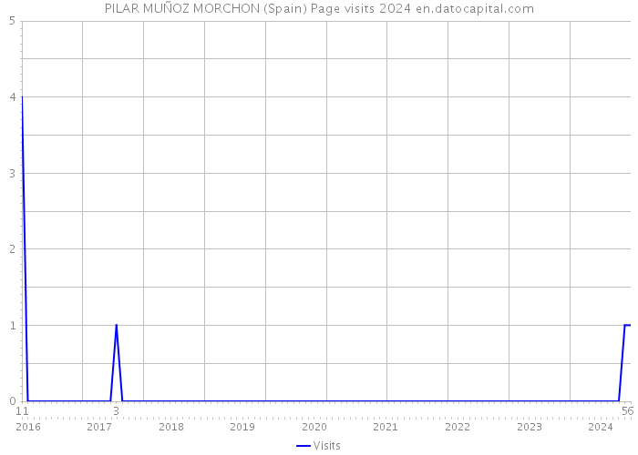 PILAR MUÑOZ MORCHON (Spain) Page visits 2024 