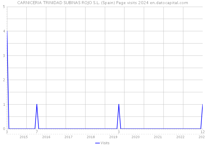 CARNICERIA TRINIDAD SUBINAS ROJO S.L. (Spain) Page visits 2024 
