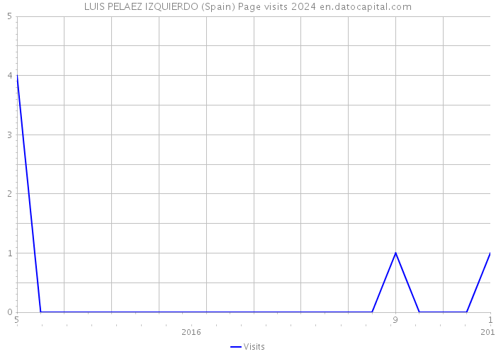 LUIS PELAEZ IZQUIERDO (Spain) Page visits 2024 