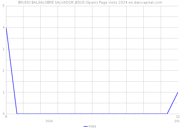 BRUNO BALSALOBRE SALVADOR JESUS (Spain) Page visits 2024 