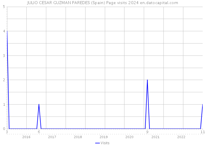 JULIO CESAR GUZMAN PAREDES (Spain) Page visits 2024 