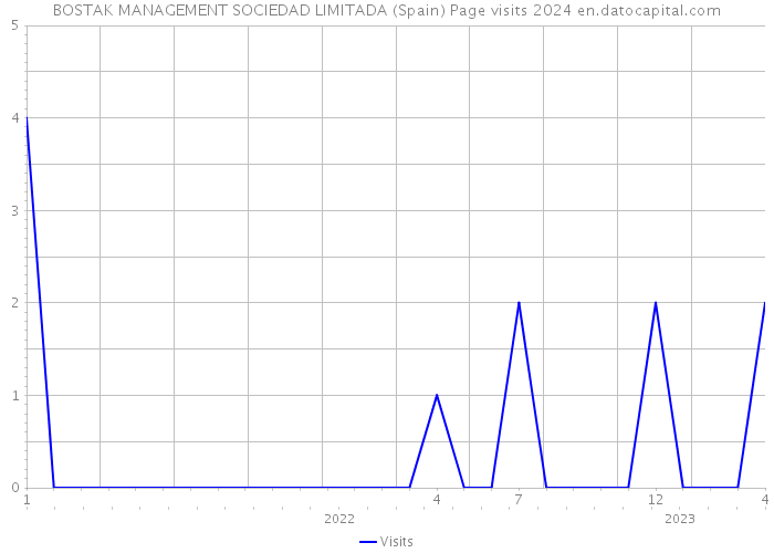 BOSTAK MANAGEMENT SOCIEDAD LIMITADA (Spain) Page visits 2024 