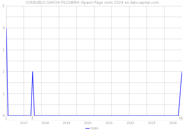 CONSUELO GARCIA FILGUEIRA (Spain) Page visits 2024 