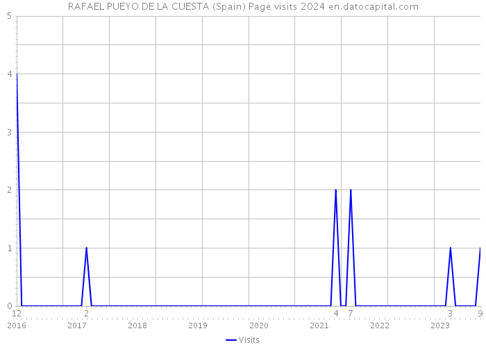 RAFAEL PUEYO DE LA CUESTA (Spain) Page visits 2024 
