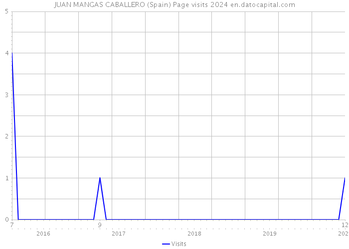 JUAN MANGAS CABALLERO (Spain) Page visits 2024 