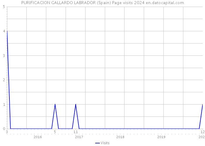PURIFICACION GALLARDO LABRADOR (Spain) Page visits 2024 