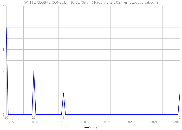 WHITE GLOBAL CONSULTING SL (Spain) Page visits 2024 