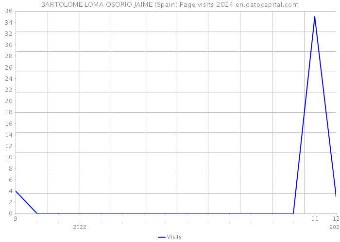 BARTOLOME LOMA OSORIO JAIME (Spain) Page visits 2024 