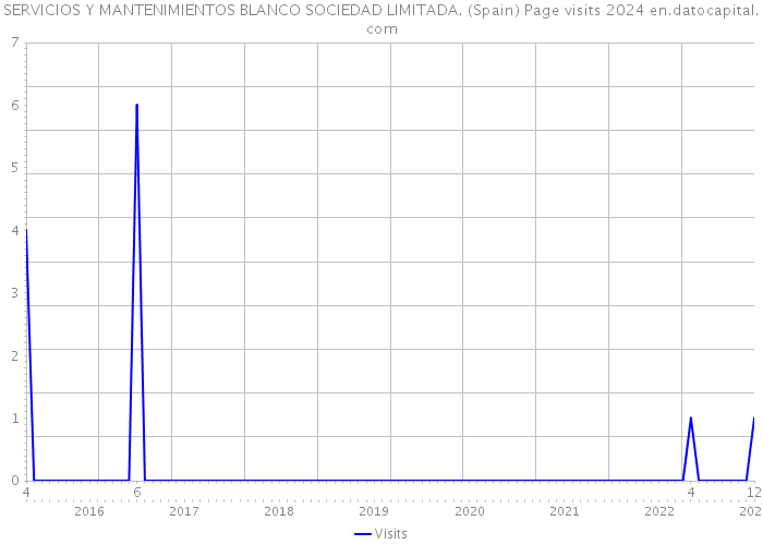 SERVICIOS Y MANTENIMIENTOS BLANCO SOCIEDAD LIMITADA. (Spain) Page visits 2024 