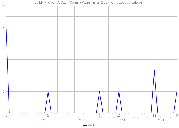 BUENA RACHA SLL. (Spain) Page visits 2024 