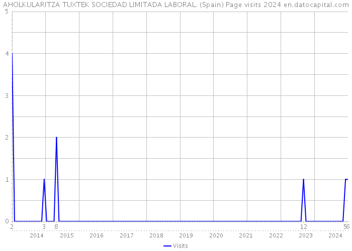 AHOLKULARITZA TUXTEK SOCIEDAD LIMITADA LABORAL. (Spain) Page visits 2024 