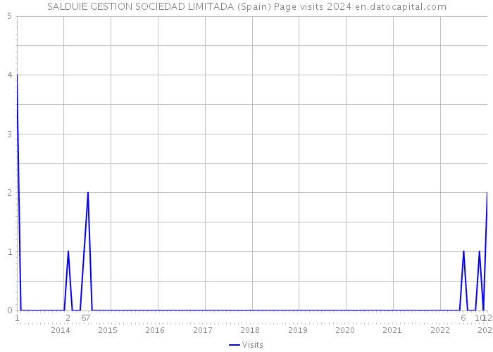 SALDUIE GESTION SOCIEDAD LIMITADA (Spain) Page visits 2024 