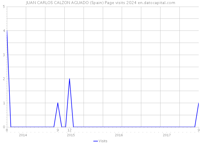 JUAN CARLOS CALZON AGUADO (Spain) Page visits 2024 