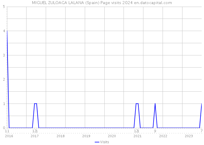 MIGUEL ZULOAGA LALANA (Spain) Page visits 2024 