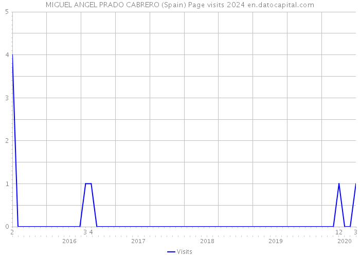 MIGUEL ANGEL PRADO CABRERO (Spain) Page visits 2024 