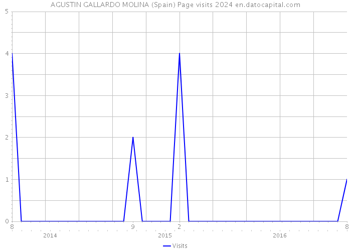 AGUSTIN GALLARDO MOLINA (Spain) Page visits 2024 
