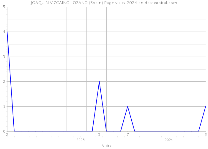 JOAQUIN VIZCAINO LOZANO (Spain) Page visits 2024 