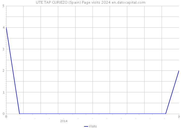 UTE TAP GURIEZO (Spain) Page visits 2024 