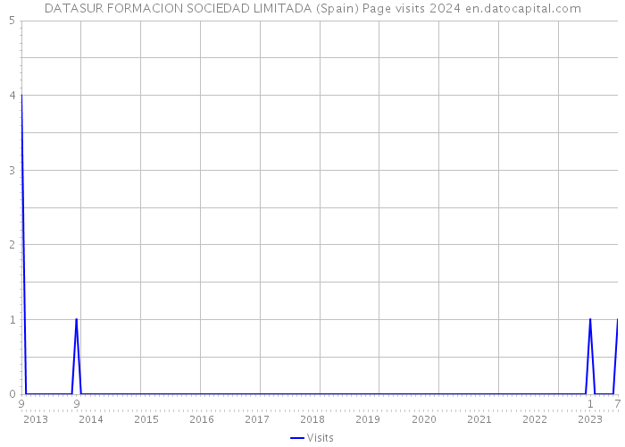 DATASUR FORMACION SOCIEDAD LIMITADA (Spain) Page visits 2024 